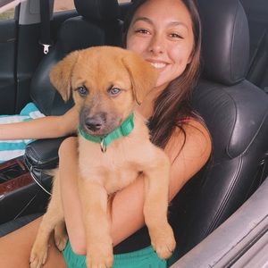 Meet your Posher, Haley